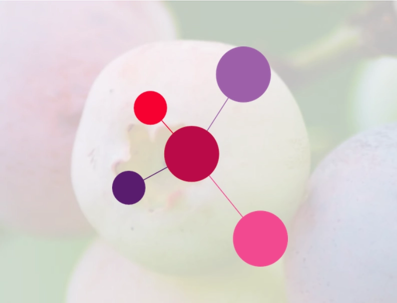 Branding, Content, Webdesign - Freelance Düsseldorf
