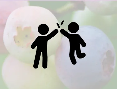 Networking match-making trade show organisation europe
