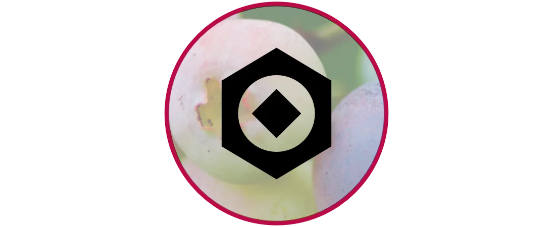 Branding für KMU