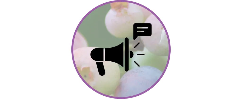 Content Kreation Freelance