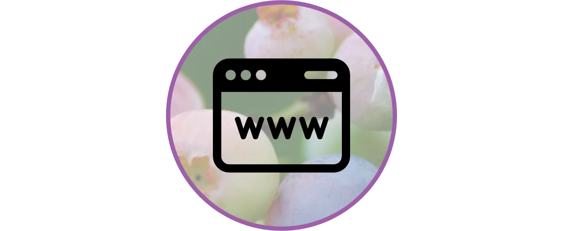 Webdesign für KMU